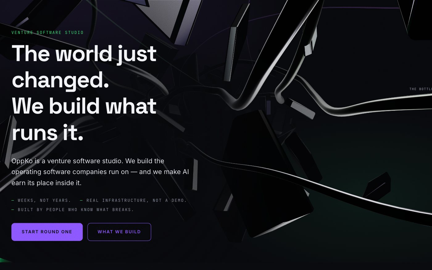 Home page on the OppKo website